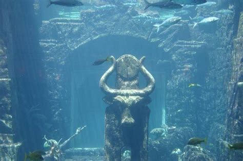 Atlantis: the ancient curse that still captivates our imagination